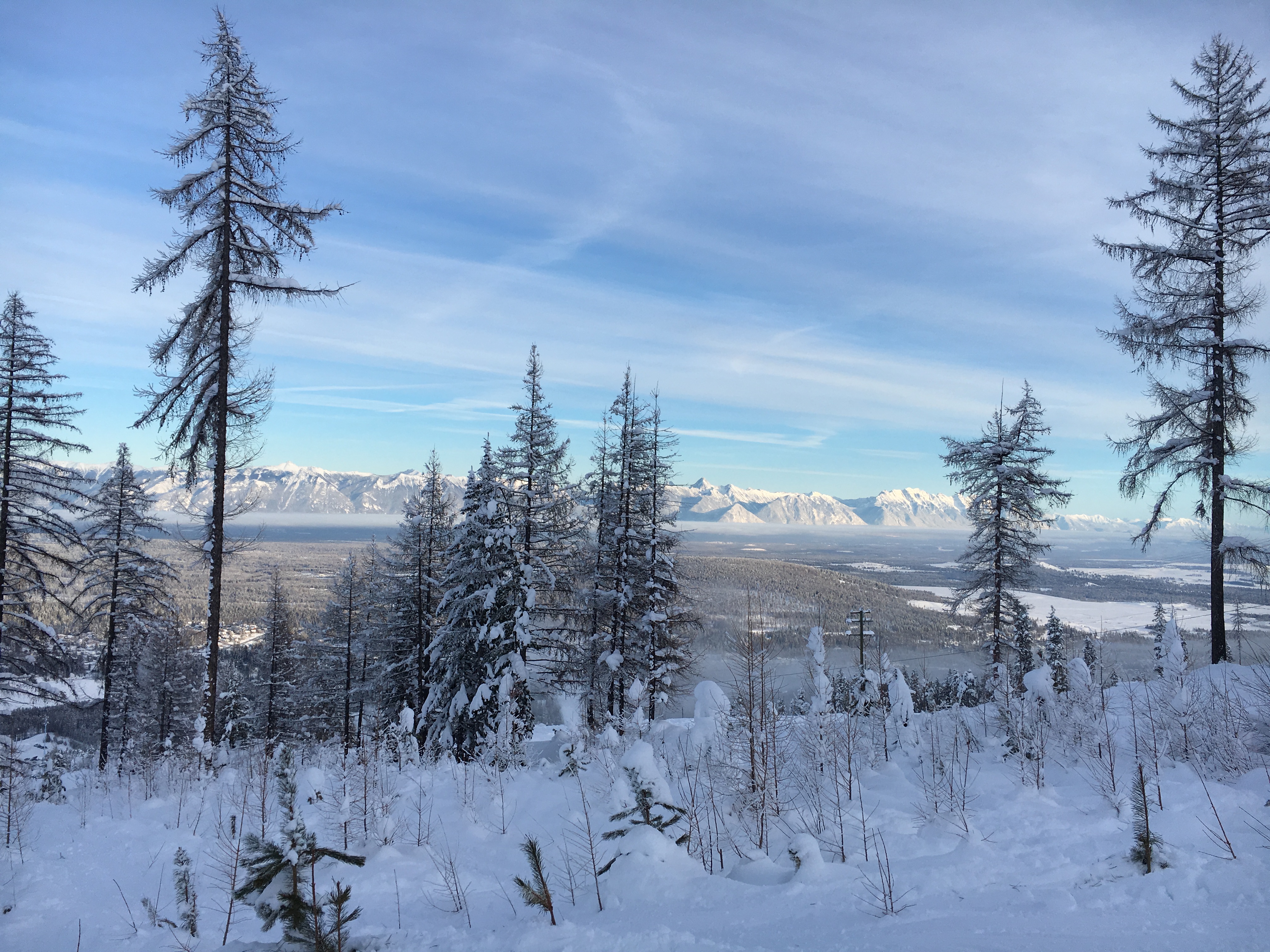 Billede fjernet.