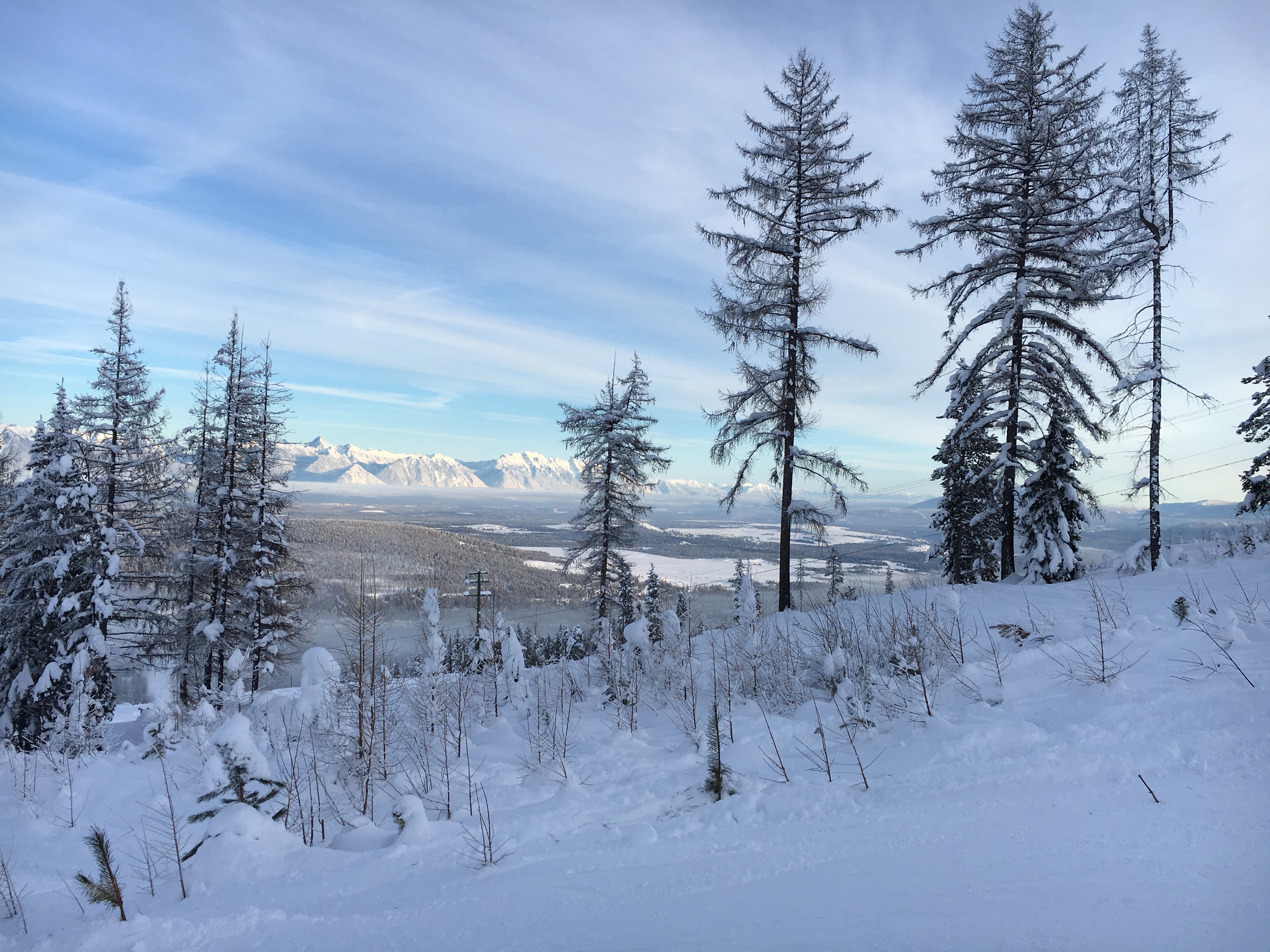 Billede fjernet.